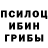Псилоцибиновые грибы мицелий HAZZA JAC