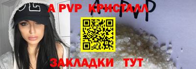 СК Боровичи