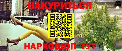 СК Боровичи