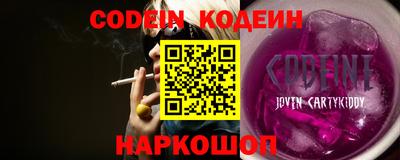 СК Боровичи