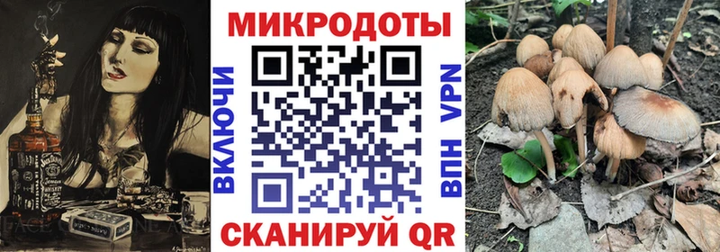 blacksprut как зайти  Белореченск  Псилоцибиновые грибы прущие грибы 